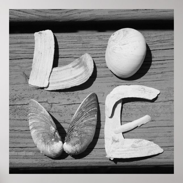 LOVE Shell Poster noir et blanc (Devant)