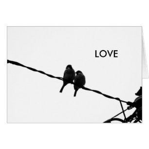 Love/Sparrow Pair B&W Carte photo