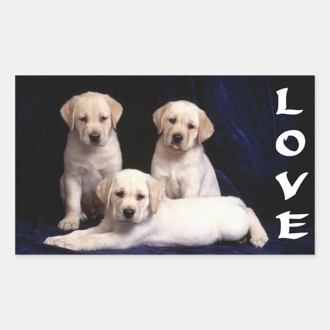 Love White Labrador Retriever Stickers Chien Chien (Devant)