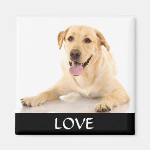 Love Yellow Labrador Retreiver Magnet