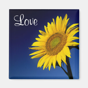 Love Yellow Sunflower Avec Blue Sky Magnet