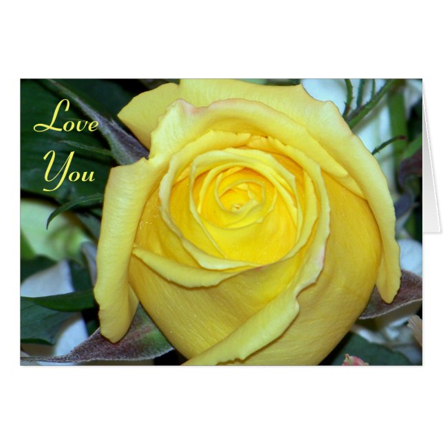 Love You/ Toute Occasion_ Card (Devant horizontal)