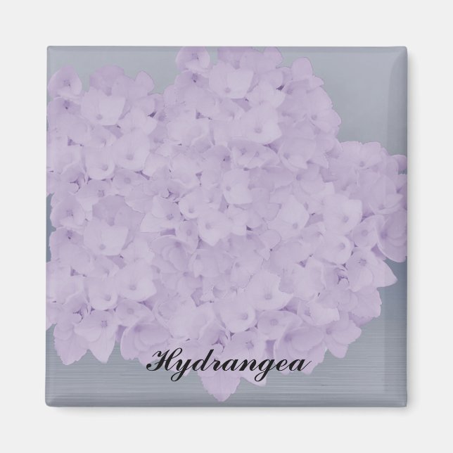 Lovely Lavender Hydrangea Magnet (Devant)