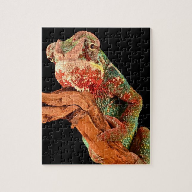 Lovely Lizard Chameleon Puzzle (Vertical)