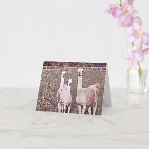 Lovely Llamas - Carte de voeux vierge