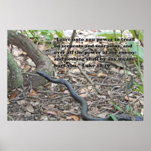 Luc 10:19 Ecriture Poster
