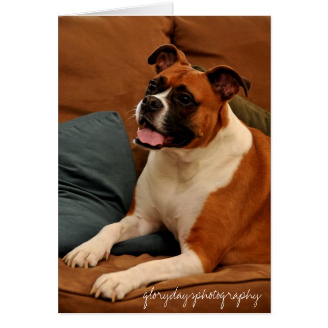 Lucie Monroe (Devant)