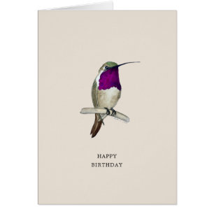 Lucifer Hummingbird Bonne carte d'anniversaire