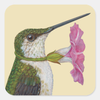 Lucinda les autocollants colibris