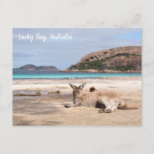 Lucky Bay Beach Kangaroo, Australie Carte postale