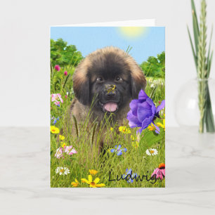 Ludwig la carte de voeux de chiot de Leonberger