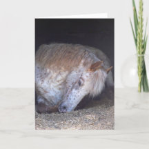 Lui prenant la carte d'anniversaire facile