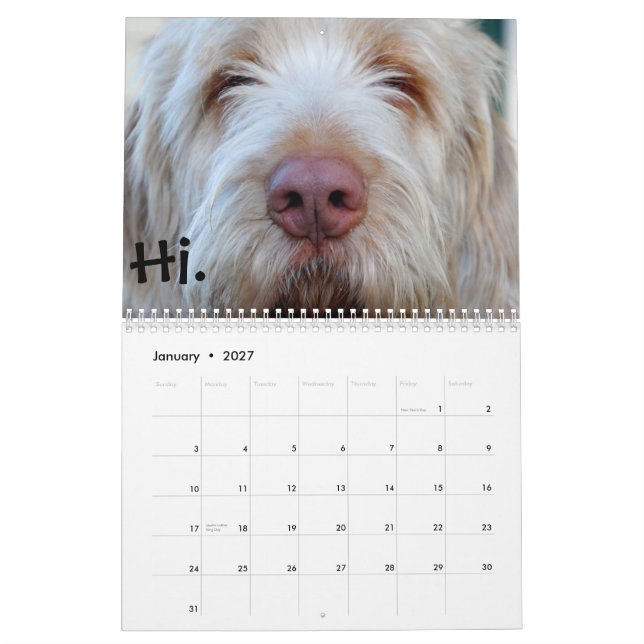 Luigi :  Le calendrier 2013 (Jan 2027)