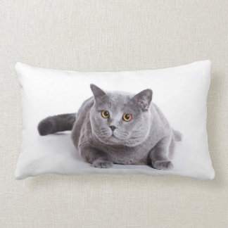 Lumbar de coussin - chat