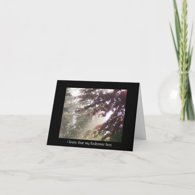 Lumière à travers la carte de sympathie des prunie (Devant)