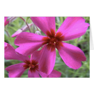 lumière des étoiles, étoile lumineuse