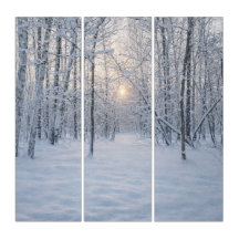 Lumière d'hiver dans une forêt de bouleaux tranqui