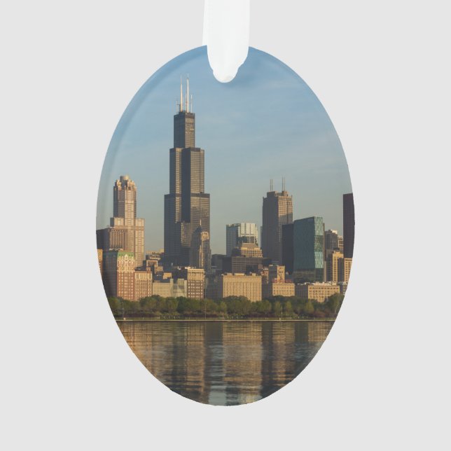 Lumière Du Matin À Willis (dos)