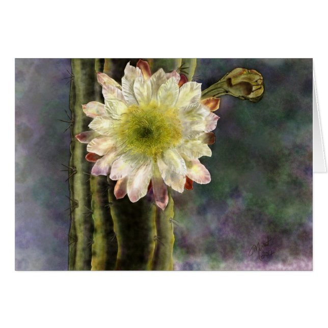 Lumière du premier matin (Devant Horizontal)