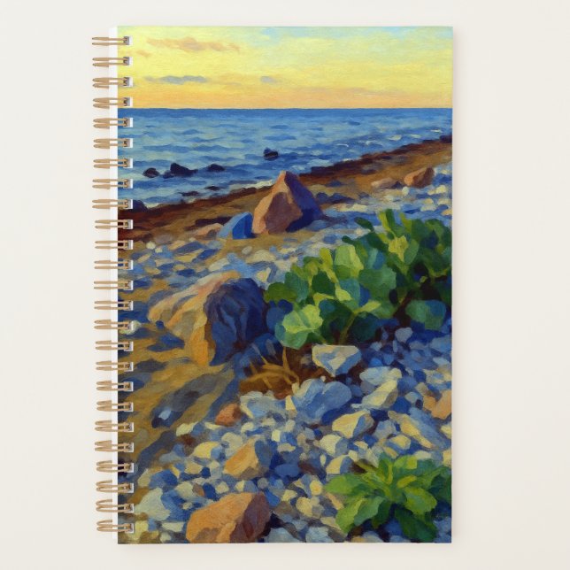 Lumière du soir sur la côte de Vormsi (Devant)