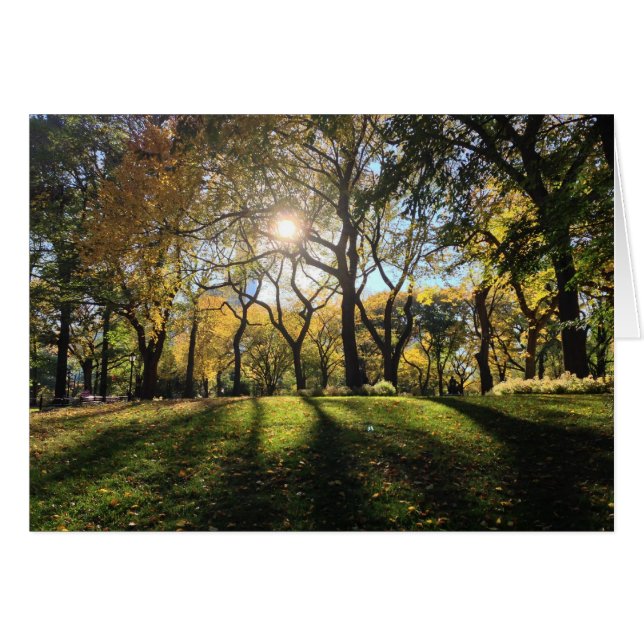 Lumière du soleil à Central Park (Devant Horizontal)