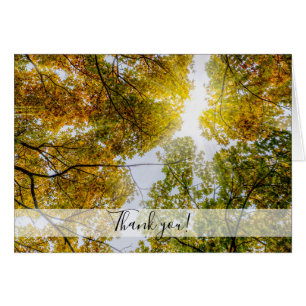 Lumière du soleil à travers l'automne Cartes à suc