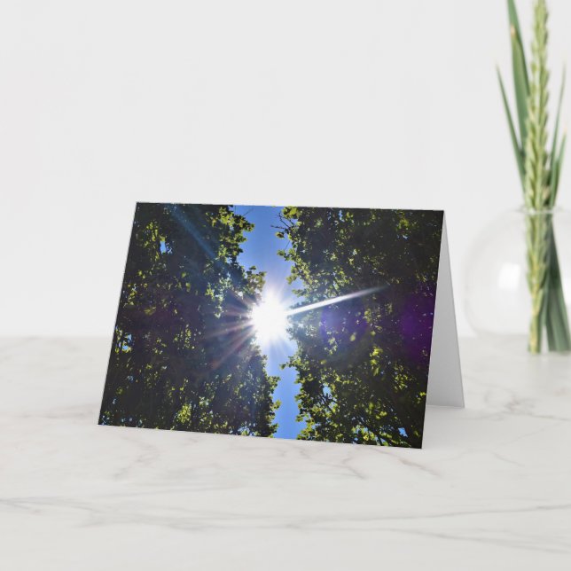 Lumière du soleil à travers les arbres, carte (Devant)