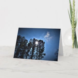 Lumière du soleil à travers les pins, carte