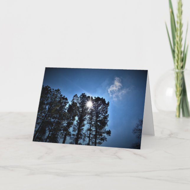 Lumière du soleil à travers les pins, carte (Devant)