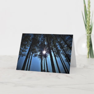 Lumière du soleil à travers les pins, carte
