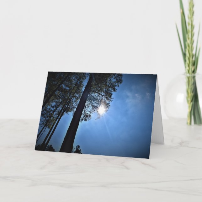 Lumière du soleil à travers les pins, carte (Devant)