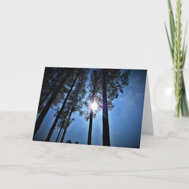 Lumière du soleil à travers les pins, carte (Devant)
