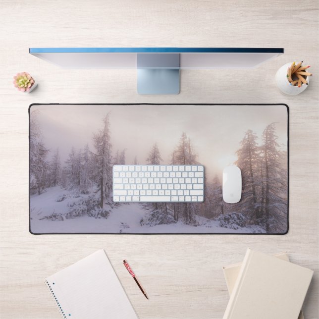 Lumière du soleil et forêt d'épinettes (Bureau 1)