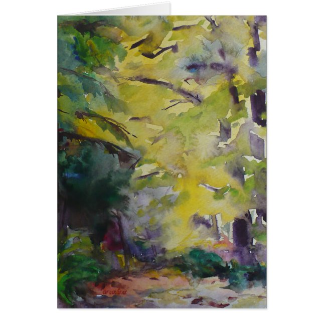 Lumière du soleil sur un chemin forestier par le (Devant)