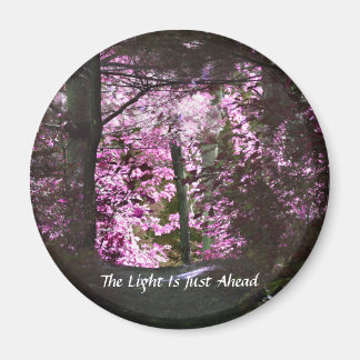 Lumière En Avant Sur Le Chemin Magnet Inspirant