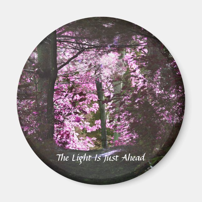 Lumière En Avant Sur Le Chemin Magnet Inspirant (Devant)