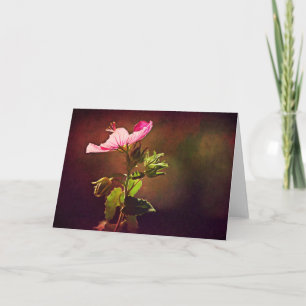 Lumière Sur Rock Rose Carte Écriture Isaiah 60:1