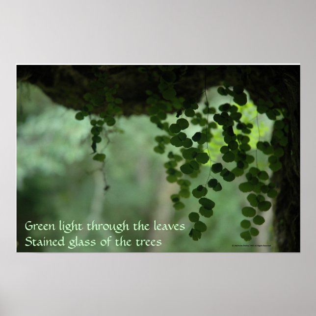 Lumière verte en feuille - Poster avec citation (Devant)