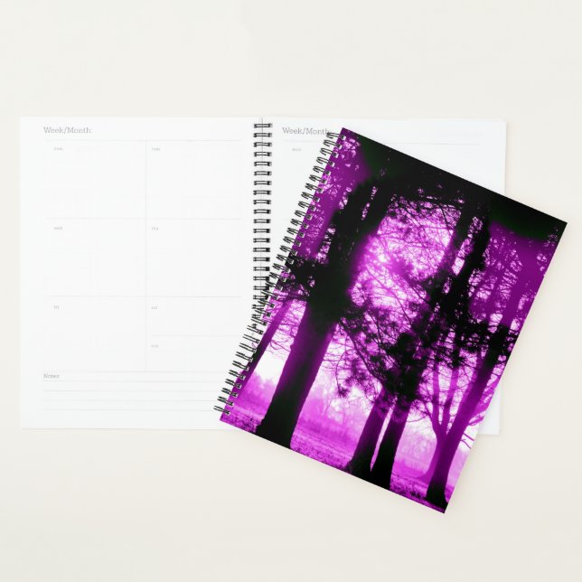 Lumière violette avec arbres en silhouette  (Devant avec enveloppe)