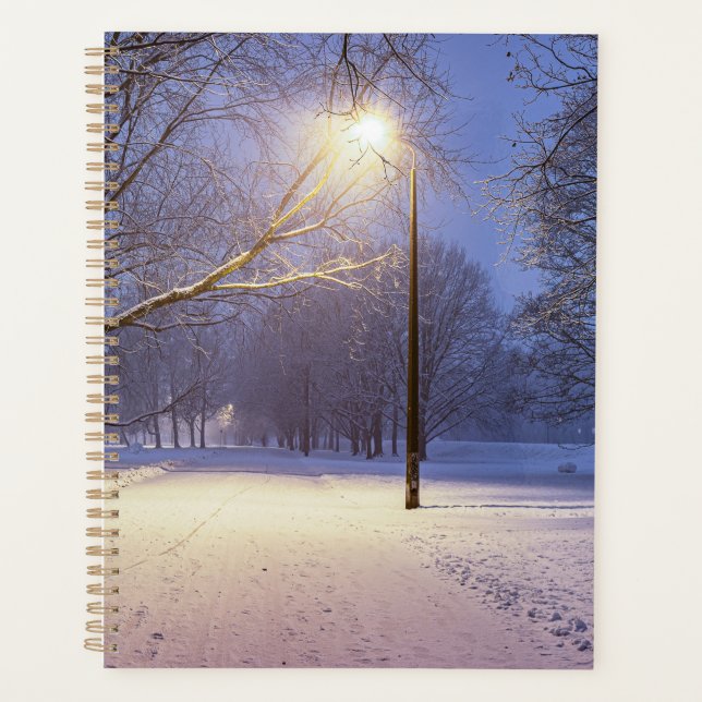 Lumières de rue et couvert de neiges (Devant)