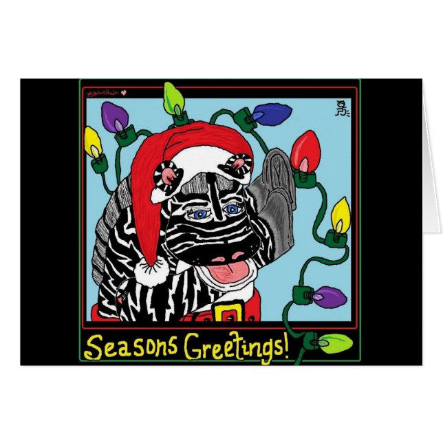 Lumières de zèbre - HRB (Devant horizontal)