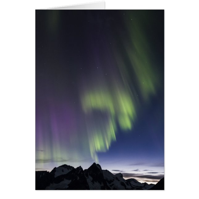 Lumières du nord de champ de glace de Juneau (Devant)