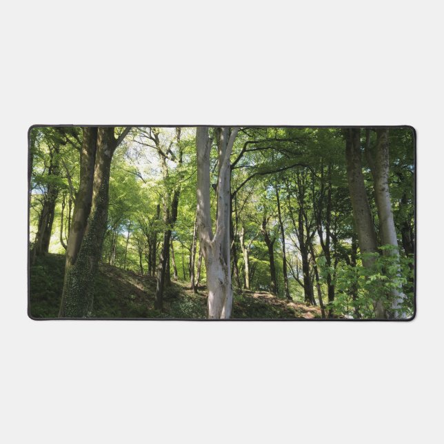 Luminaire de bois appliqué à la lumière du soleil  (Recto)