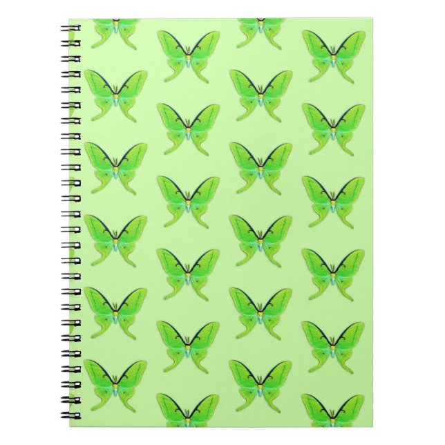 Luna moth sur un carnet arrière - plan vert pâle (Devant)