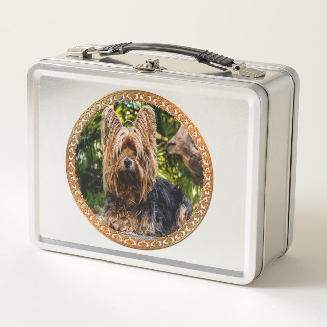 Lunch Box Adorable Yorkshire brun et noir terrier (Devant)