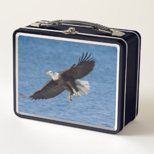 Lunch Box Aigle chauve en vol