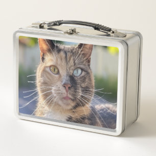 Lunch Box Ajouter une Personnaliser photo de chat