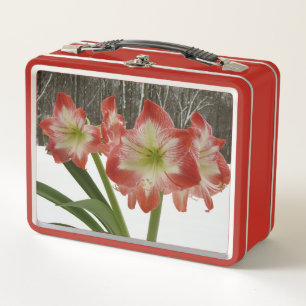 Lunch Box Amaryllis en Fête Rouge Neige Hiver Floral