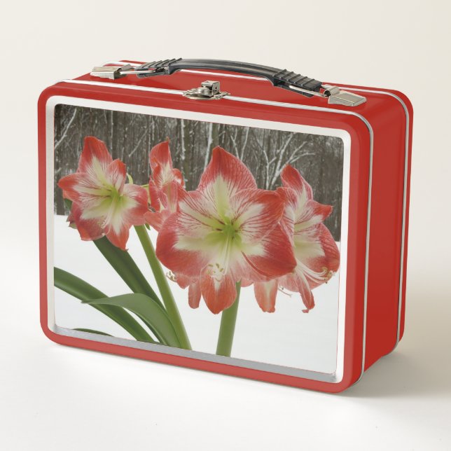 Lunch Box Amaryllis en Fête Rouge Neige Hiver Floral (Devant)