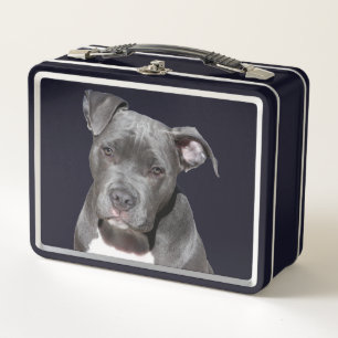Lunch Box American Pit Bull Terrier